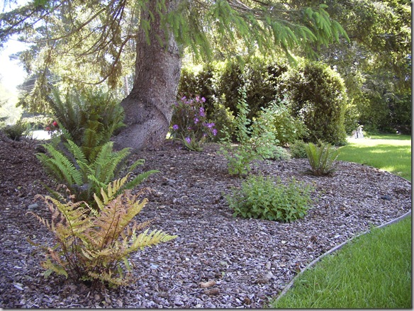 McKinleyville garden