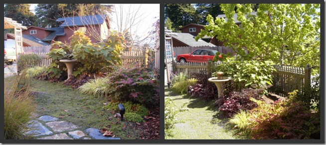 Bird Bath November and May