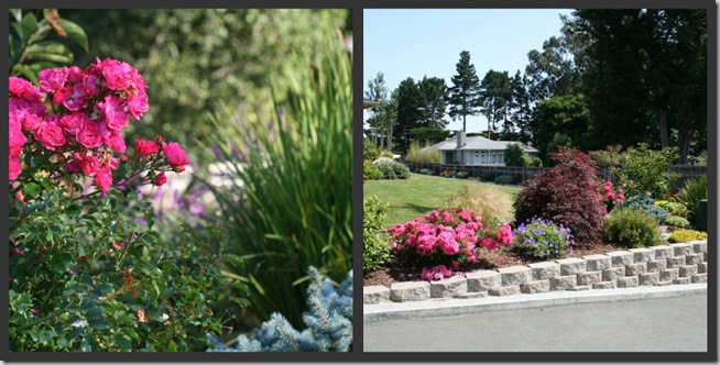 eureka curbside garden