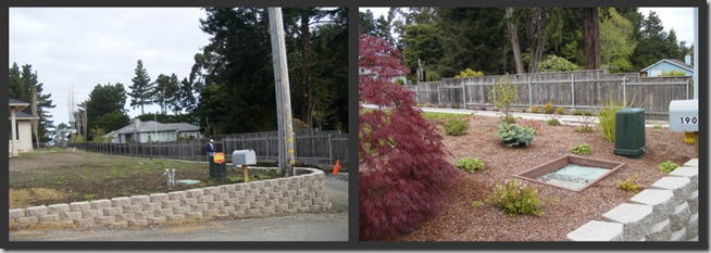 Before - the Baby Garden